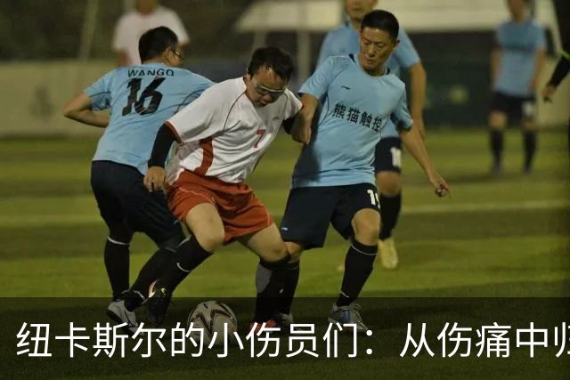 纽卡斯尔的小伤员们：从伤痛中归来的一群勇士