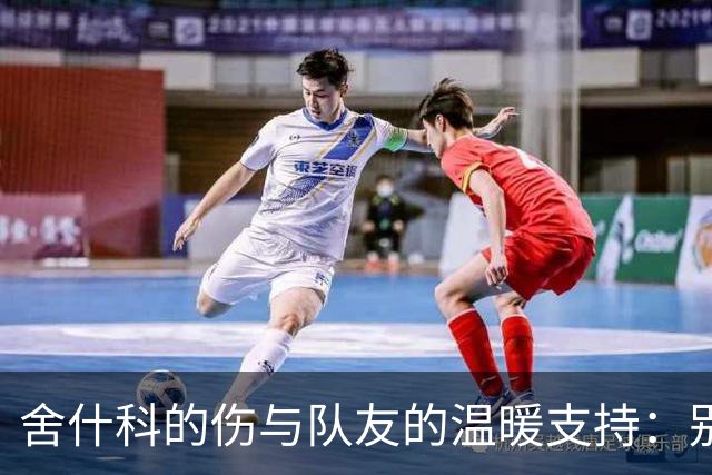 舍什科的伤与队友的温暖支持：别怕外界的流言蜚语！