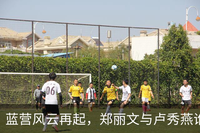 蓝营风云再起，郑丽文与卢秀燕谁是2028的赢家？